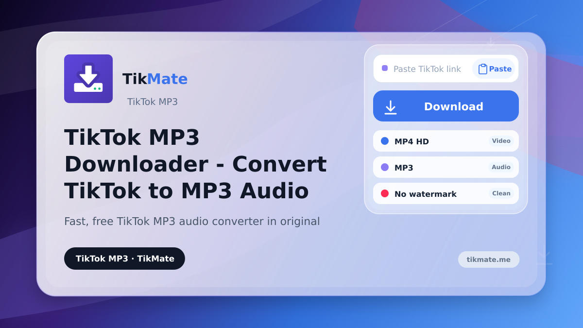 TikTok MP3 Downloader - Convert TikTok to MP3 Audio