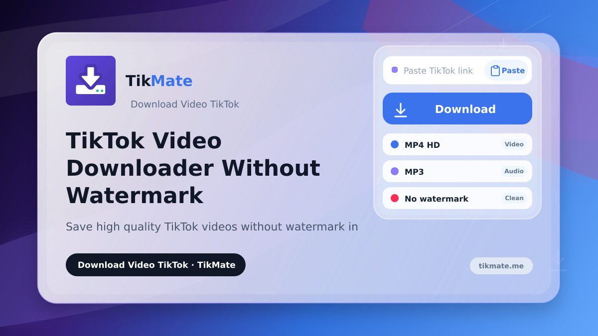 TikTok Video Downloader Without Watermark