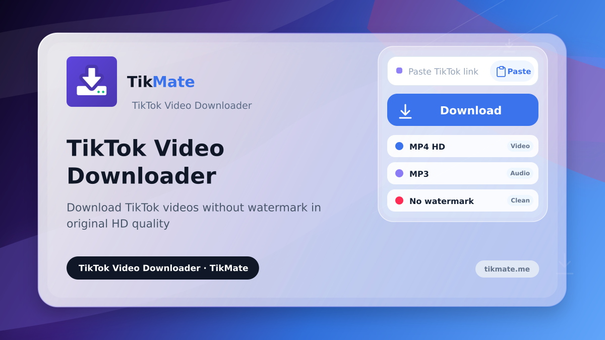 TikTok Video Downloader