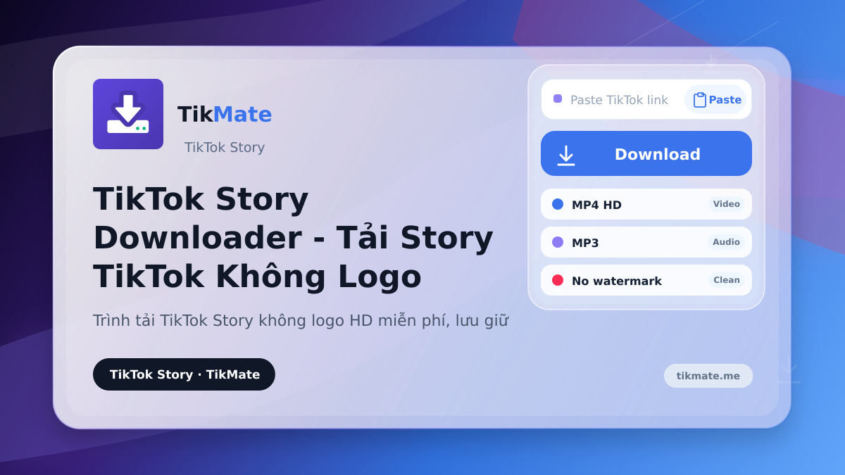 TikTok Story Downloader - Tải Story TikTok Không Logo