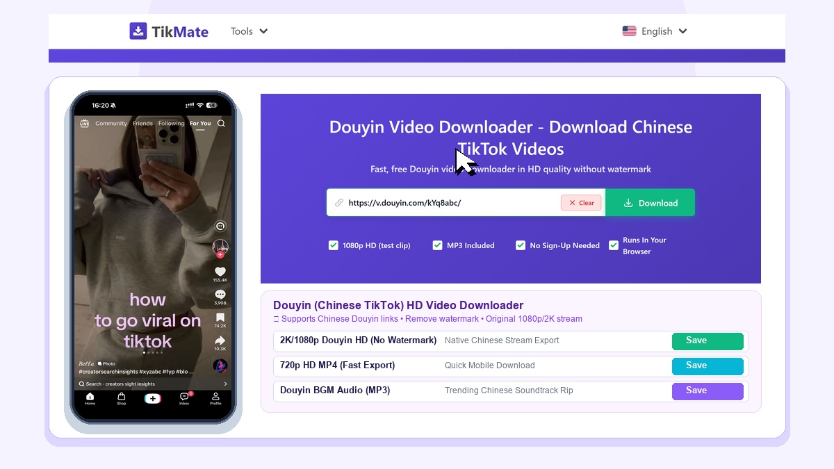 TikMate Douyin Video Downloader Chinese TikTok