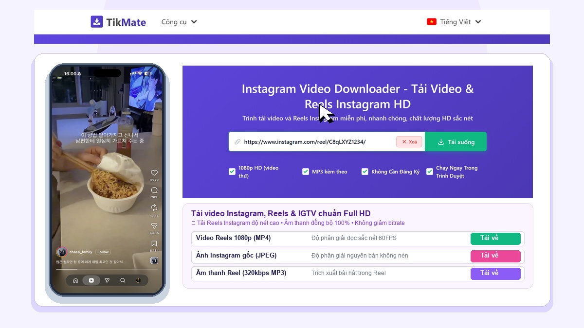 TikMate VI Instagram Downloader