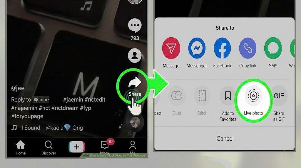 How to Turn TikTok Videos into Phone Wallpapers in Seconds - TikMate guide