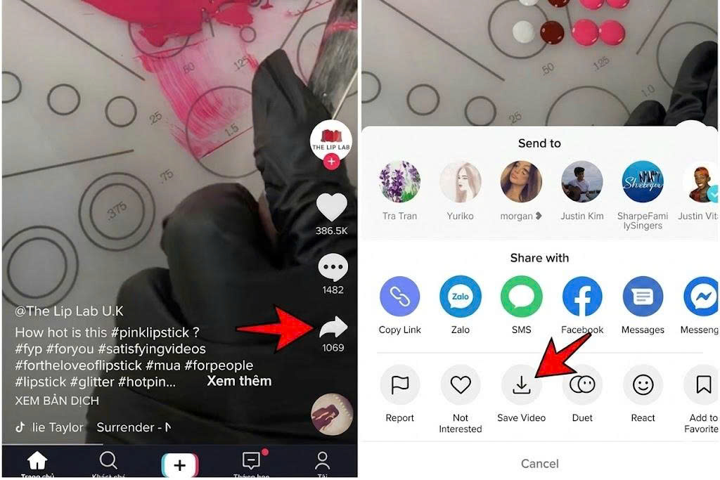 Step-by-Step Guide to Setting TikTok Videos as Ringtones on iPhone - TikMate guide