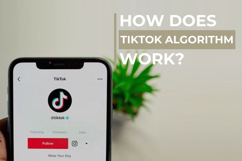 TikTok Algorithm in 2026: What Actually Drives Views and Growth Today - TikMate guide