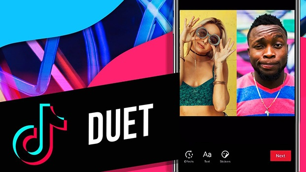 Download TikTok Duet Videos Without Watermark with TikMate in Just 5 Seconds
