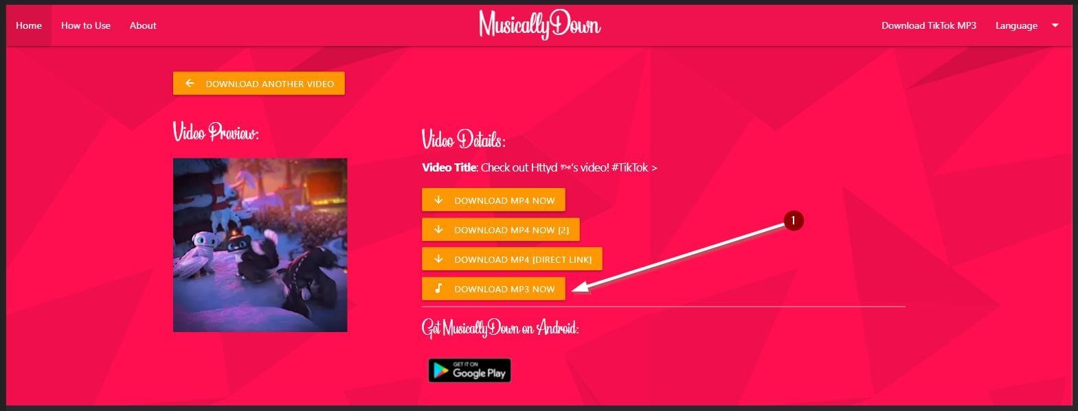 Download TikTok Photos Without Watermark - Fast, Clean & HD - TikMate guide