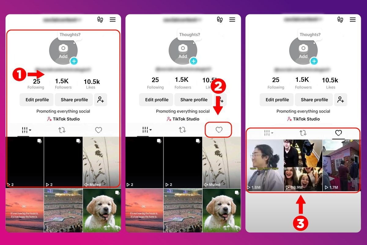 How to View Your Activity History on TikTok: Easy Steps for 2026 - TikMate guide